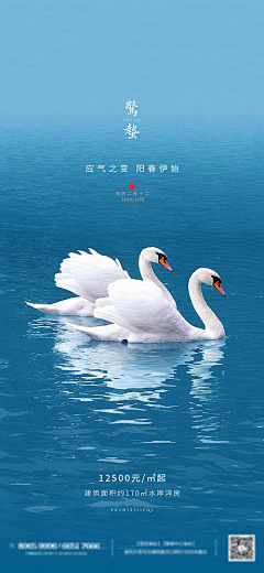 逻辑菌采集到惊蛰海报收集
