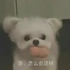 怎么会这样