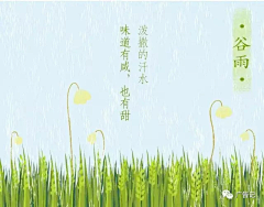 洪小妹Amei采集到(二十四节气)谷雨