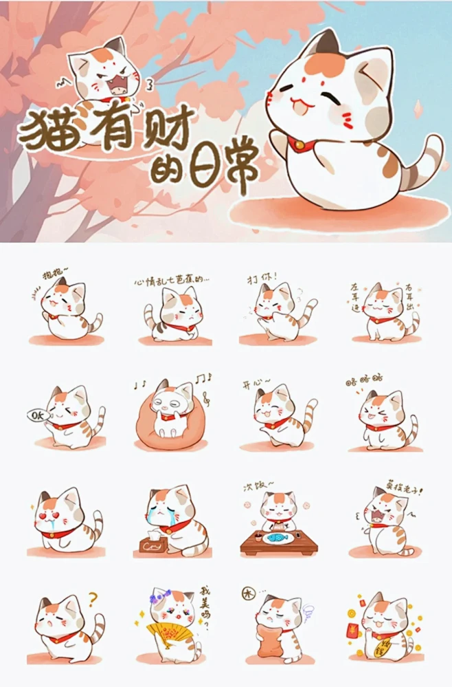 表情包｜猫有财的日常 - 小红书