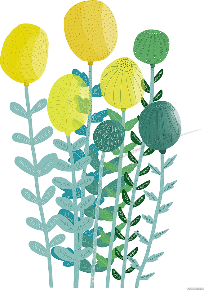 叶子免抠PNG元素北欧森系插画植物素材插...