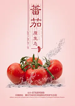 西红柿宣传海报广告