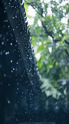 雨景-花瓣网|陪你做生活的设计师 | 九张绝美雨景图，送给三月里的朋友_海内网