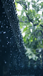 九张绝美雨景图，送给三月里的朋友_海内网