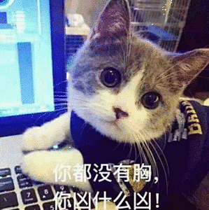 猫咪望过来：你没有胸你凶什么凶
