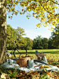 A very Cambridge picnic!