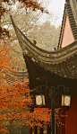 清凉寺的枫境 ​​​​