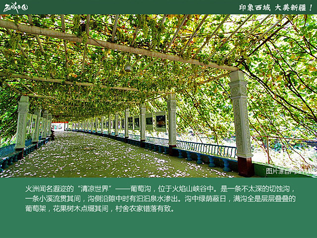 西域果园新疆风情之旅——吐鲁番·葡萄沟