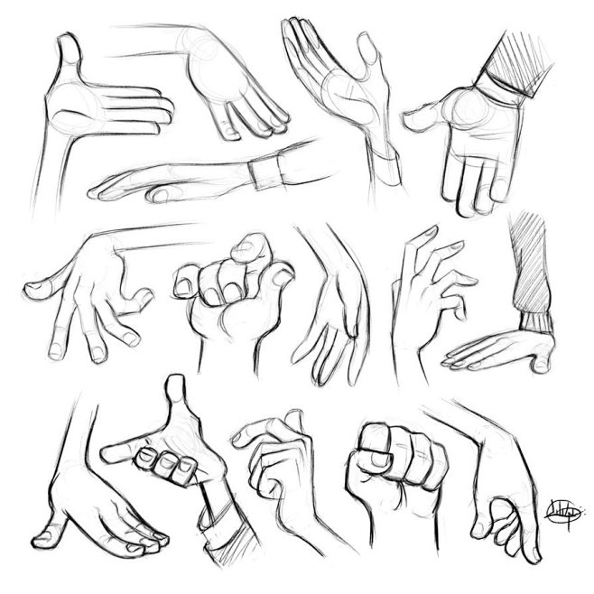 Procreate Hand Sketc...