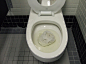 上厕所的时候先铺一张卫生纸在马桶里，可以防止嗯嗯的时侯水溅 PP