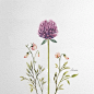 韩国插画师Kate kyehyun park作品