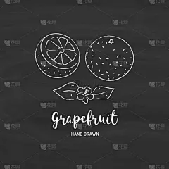 水果,草图,葡萄柚,华丽的,素食,菜单,清新,食品,果汁,绘制