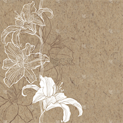 __Thorn_____采集到工作