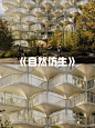 垂直花园｜自然仿生