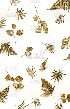金色的叶子植物模式孤立在白色的背景。前视图。space.abstract副本。
