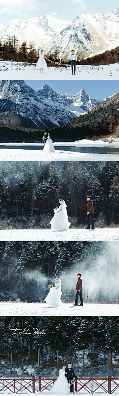 喜_欢·先生采集到冬季婚纱