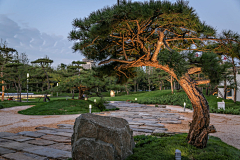 Msanyue采集到【景观元素】——石|景