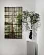 (158) Pinterest