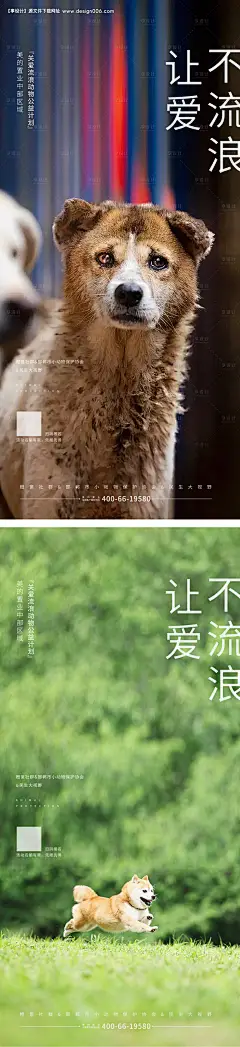 源文件下载【享设计】搜索编号：13560017017757510【流浪狗公益海报】
