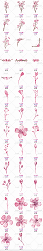 cm429唯美浪漫粉色樱花树枝花苞卡片海报手绘水彩PNG免抠设计素材-淘宝网