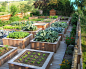 Garden Design Ideas, Renovations & Photos with with a Vegetable Patch