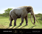 【转图】乌克兰数码画家ROM-DIZ的史前非洲兽总目复原图_看图_古兽吧_百度贴吧