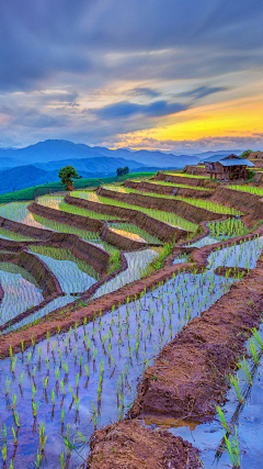 忘川漪涟采集到风景