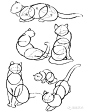 【简明教程】画猫动态技法