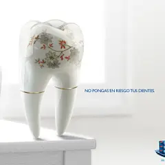 Oral B | Teeth : Don't risk your teeth.