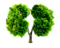 c03cf7ad1d56c4a7bdf4c88f8a070e5d