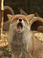 005xNTb6gy1hg8t8ulg2aj30p00xcgnz.jpg,393x524 像素