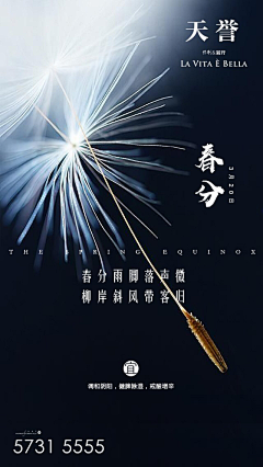 +D设计采集到微信排版