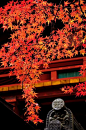 秋天的落叶，旅游景点和寺庙
autumn leaves, travel destinations and temples.