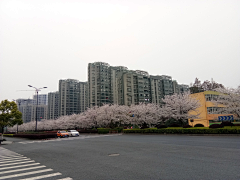初耳采集到风景