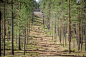 Мотузковий парк Jämijärvi (Фінляндія) – Hip Park