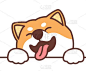 Snipaste_2022-08-25_15-27-59
