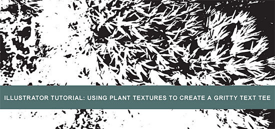 USING PLANT TEXTURES...