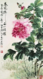 来自分享