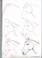How-To-Draw-Horses - ~*Horse Heaven*~