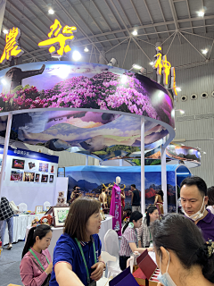 *0-0*333采集到湖北文旅博览会