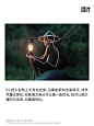 设计 - 首页 - 微博