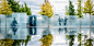 2020 ASLA通用设计类荣誉奖：美国伤残退伍军人纪念碑，华盛顿 / Michael Vergason Landscape Architects, Ltd. : 以永恒又优美的方式传达幸存者的意志