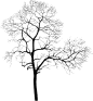047a38d6588f8e99d3b5df5ff033b0980cfedefb811c5-7JjJsu_fw1200