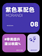 紫色高级感配色｜配色分享 - 小红书