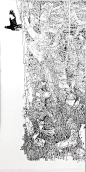 来自相册