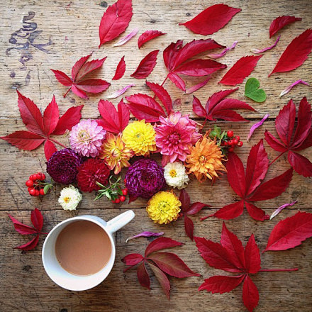 花儿与咖啡，正在追求的理想生活状态。by...