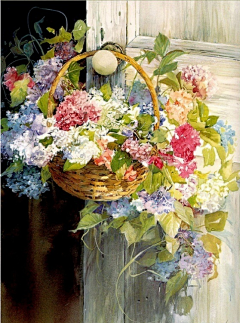 玉岭花采集到油画静物