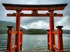 GPains采集到风景