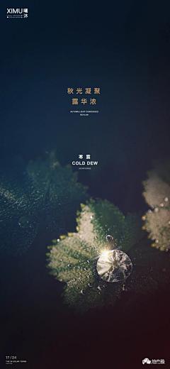 *士多啤梨菠萝包*采集到节气海报