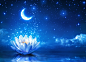 General 5371x3869 Moon sky night lotus flowers stars